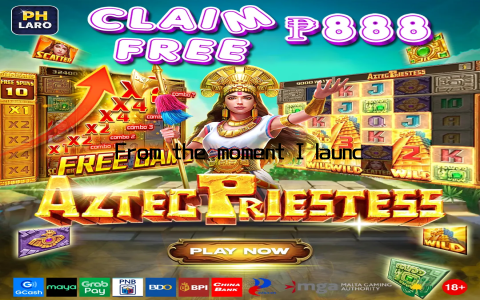 From the moment I launched the game, I was greeted with a vibrant and immersive interface that instantly pulled me in